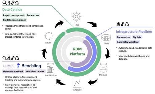 rdm pic